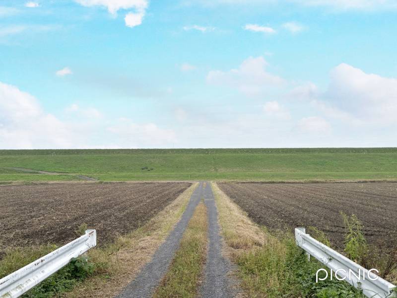 家の裏には土手へ続く一本道があります