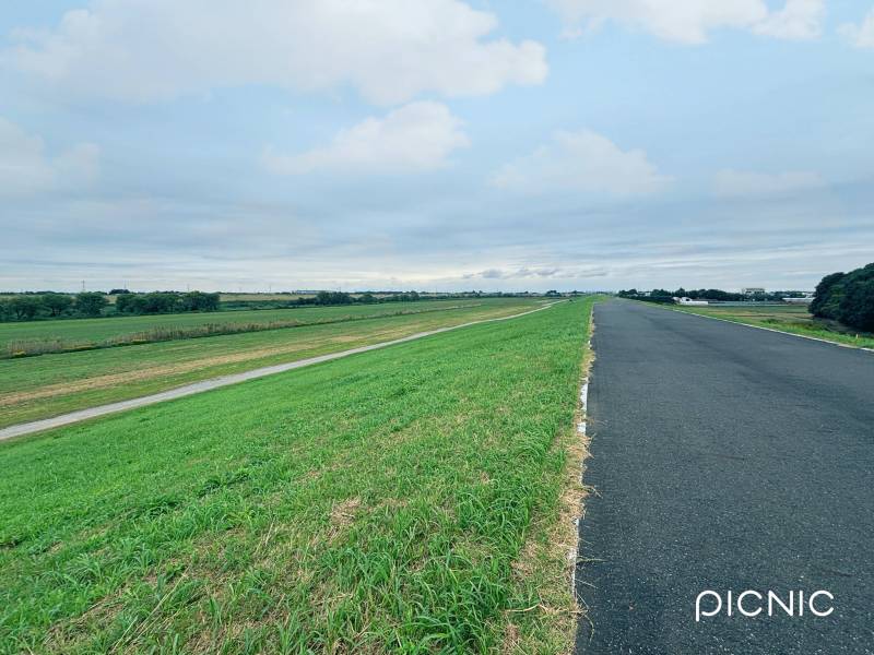 朝からランナーや自転車が気持ちよさそうに走っています