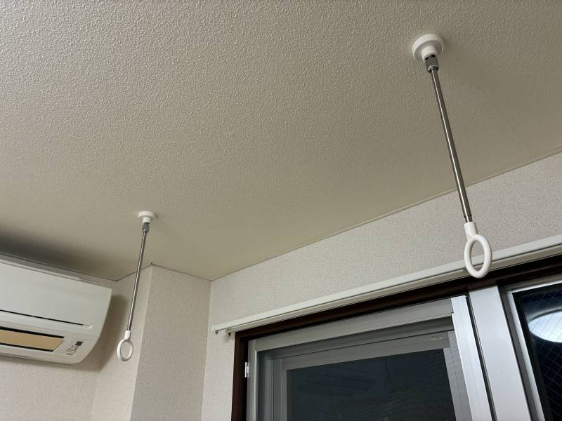 ホスクリーンを設置しています。