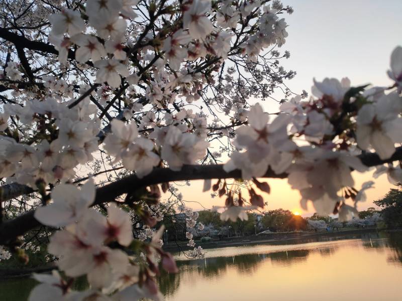 徒7分で松花堂、桜公園など環境良し！八幡高校徒歩３分
