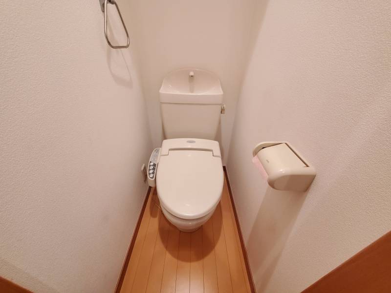 写真はイメージです