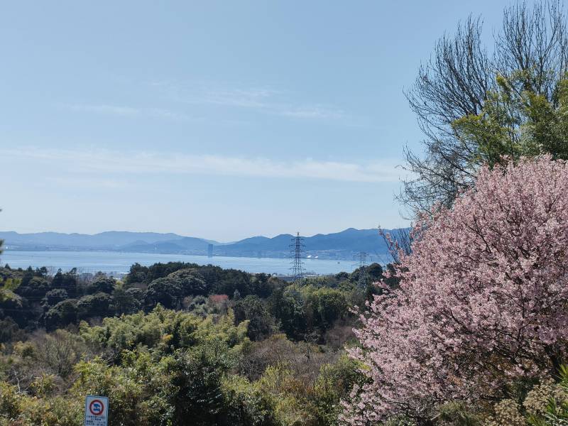 自然豊かな環境
【近隣にある見晴台からの風景】