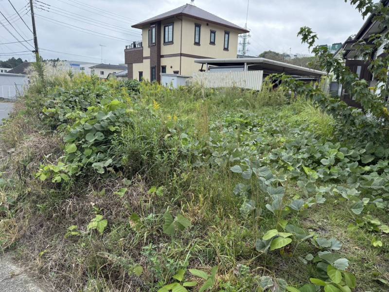 敷地100坪