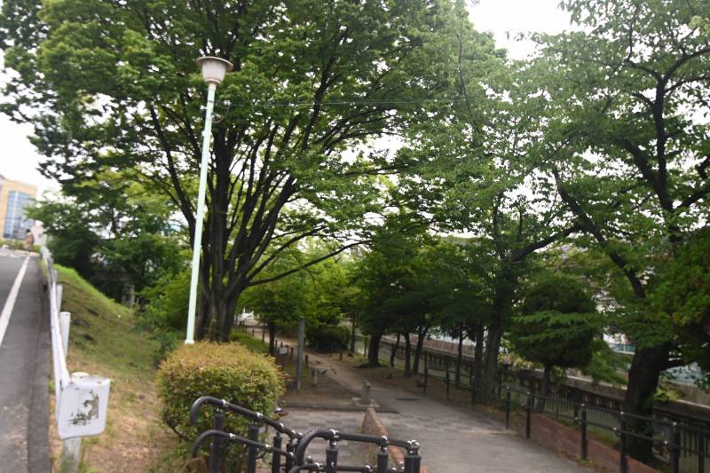 歩いて1分程で憩いの緑地、春は桜がきれいです