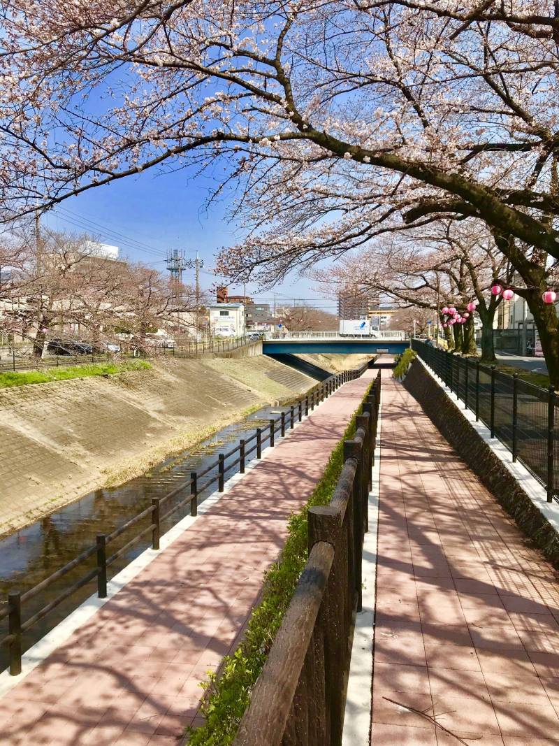 物件前の遊歩道。絶好の散歩コースです