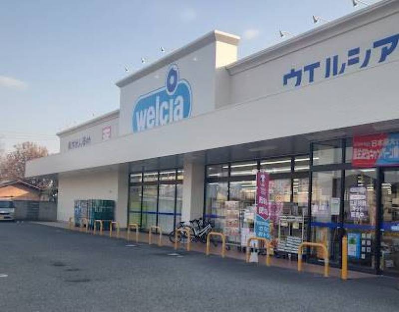 ウエルシア群馬大泉店(徒歩4分)