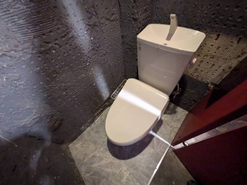 トイレ便器は洋式にリフォーム済。