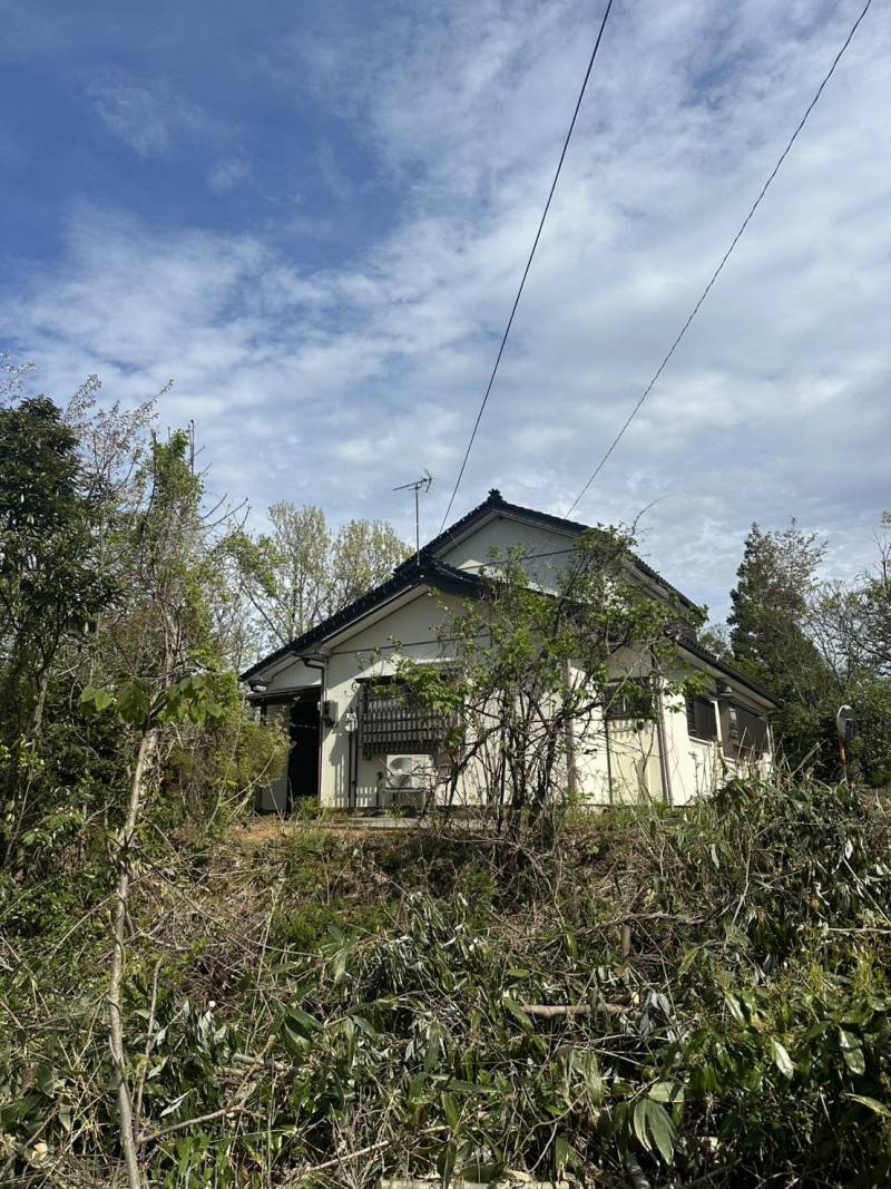 広い庭はお手入れ自由です。