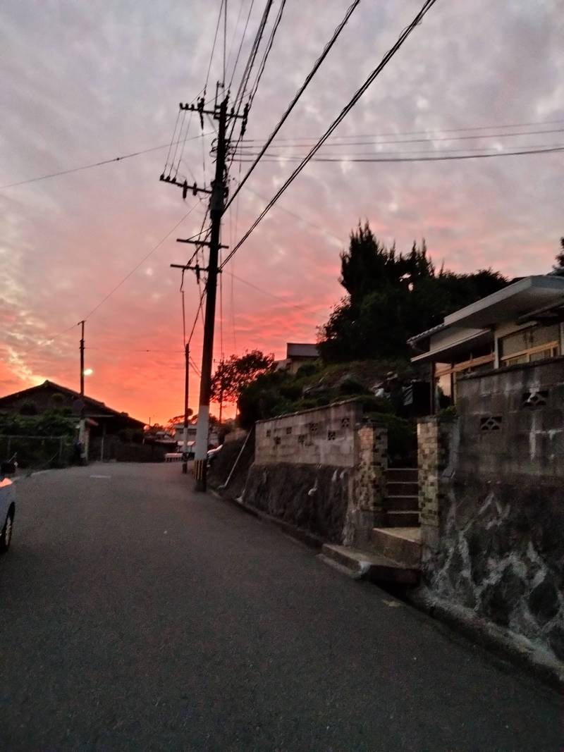 南道路に面しています。夕日が綺麗です。