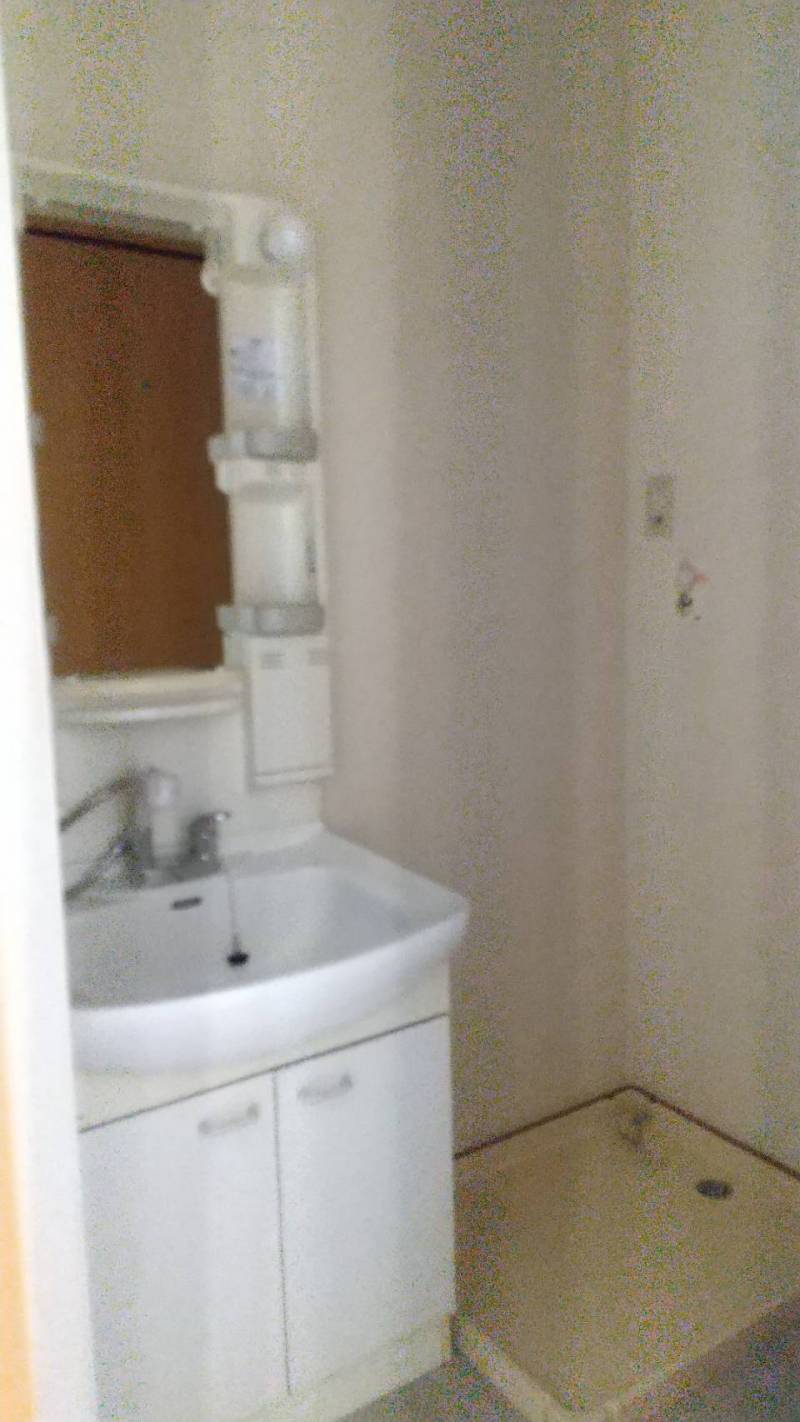 独立洗面台と室内洗濯機置き場です。