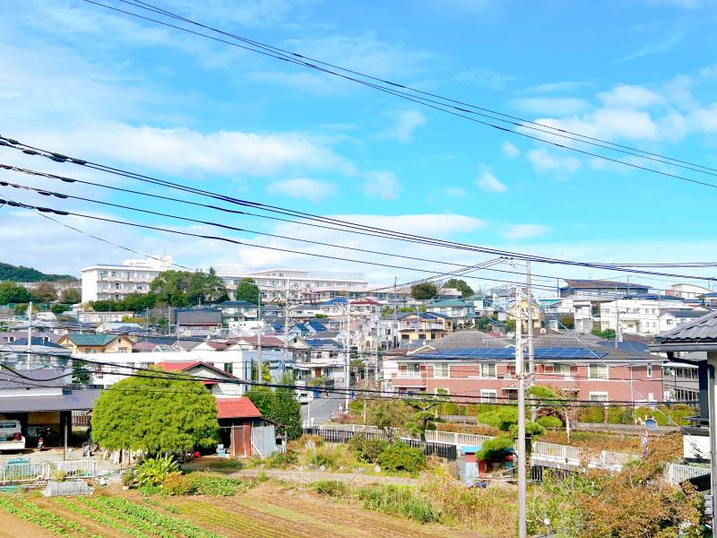 近くに山が見え、青空が広がっています。