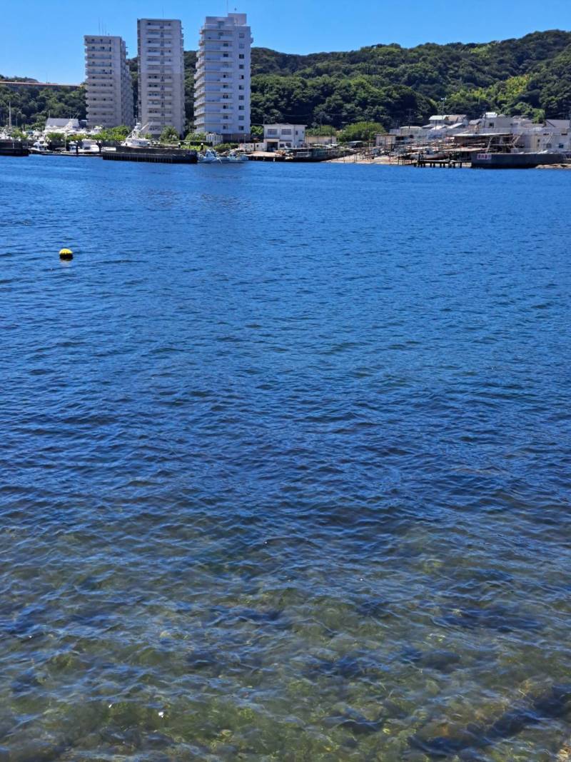 内海のため波は穏やか