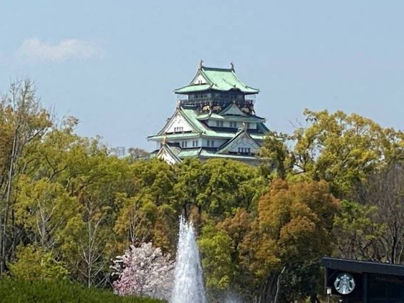 大阪城公園も徒歩圏の環境の良さ！