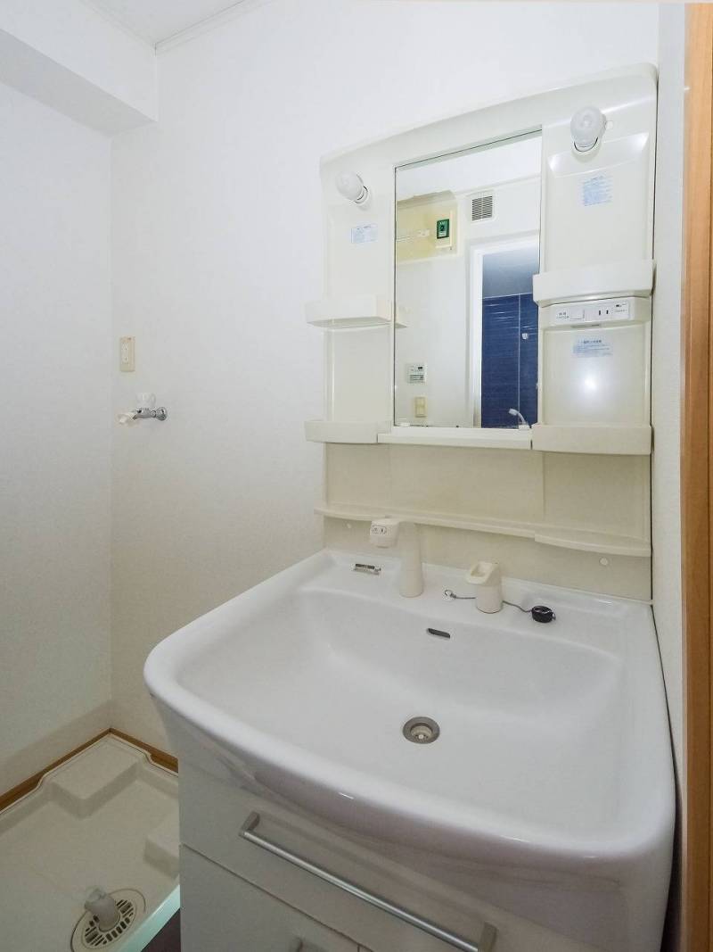 洗面所：バス・シャワールームに隣接