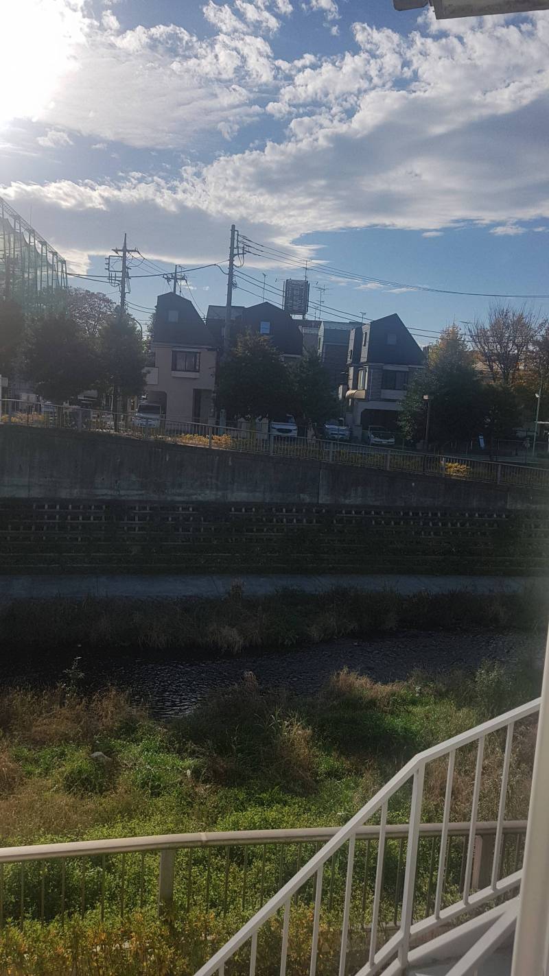 窓からの景色です