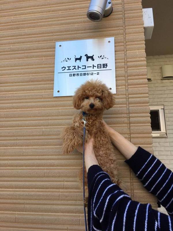 ワンちゃん、ねこちゃんと快適に過ごせます。