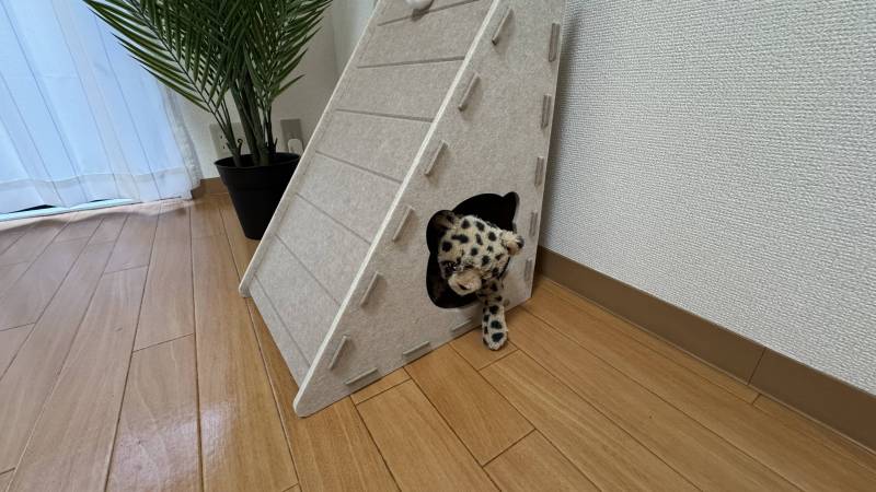 ペットさん可です！