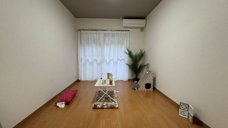 南向き。太陽の光がまぶしいです！