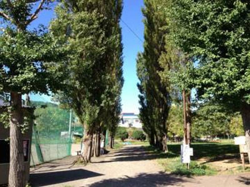 入船公園（徒歩8分）
