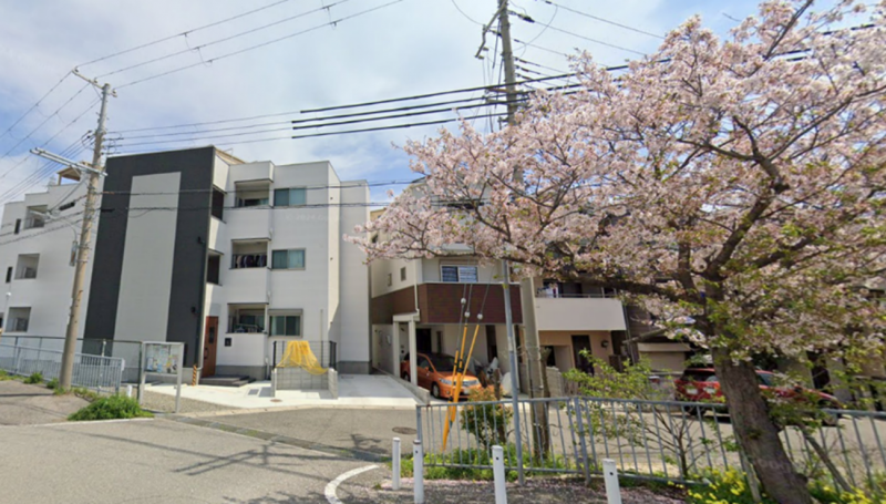 前方は桜並木の幹線道路