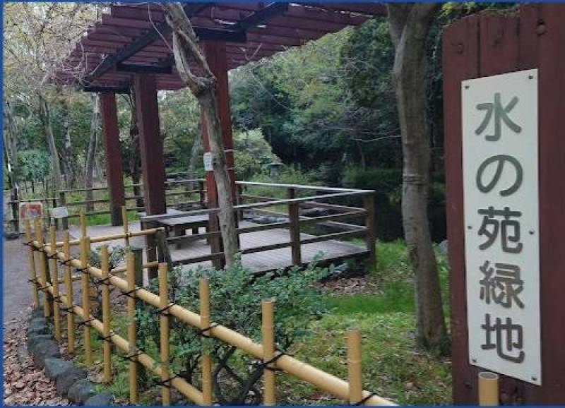 街中ながら、カワセミが棲み蛍が舞う緑地もすぐそば