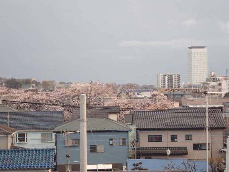 春には窓からお花見もできますよ♪