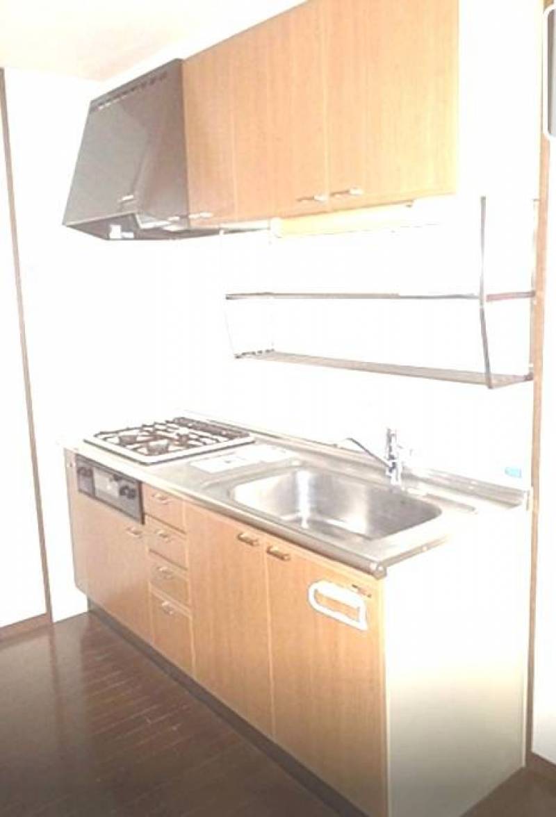 分譲レベルの使い易いキッチン