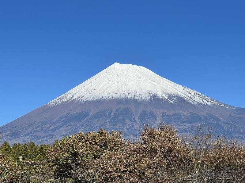 富士山