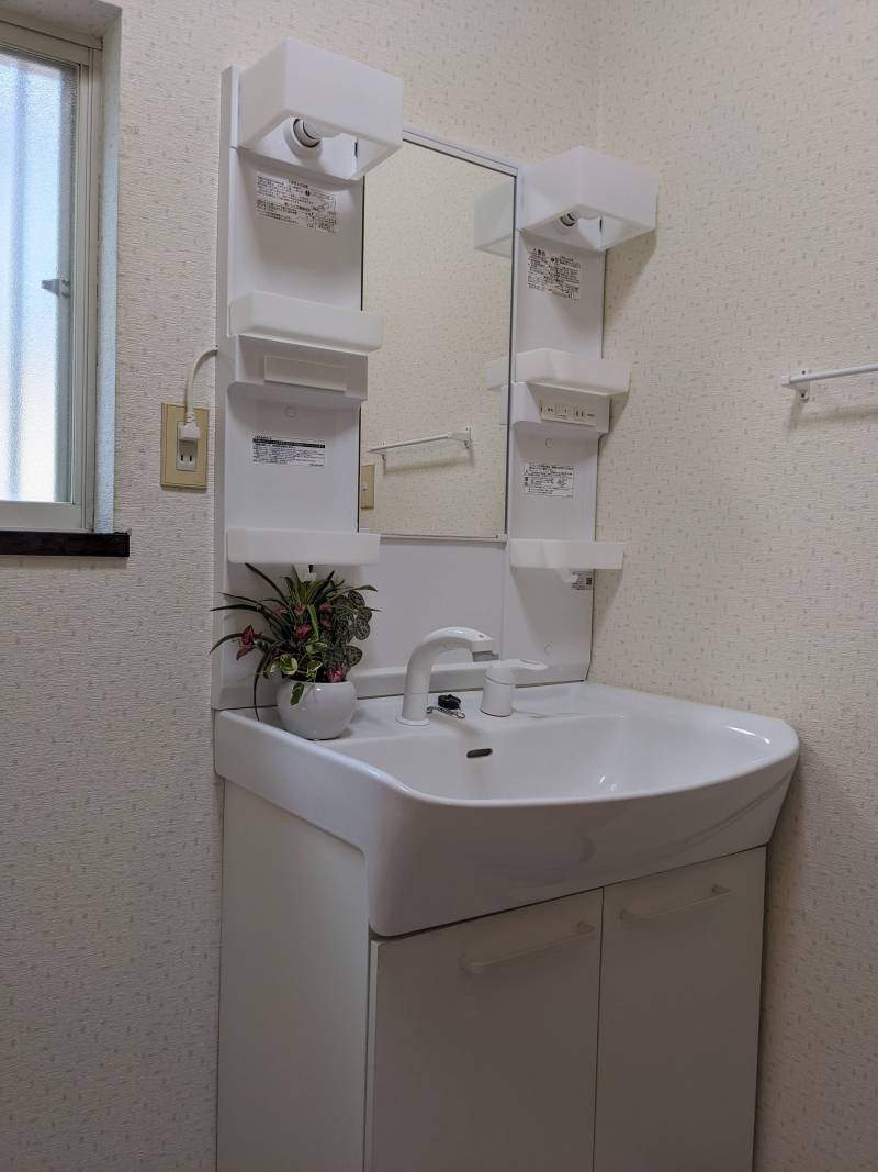 シャワー付き洗面台です、横が洗濯機置き場です
