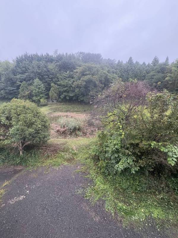 山林と溜池を見下ろせるベランダからの景色