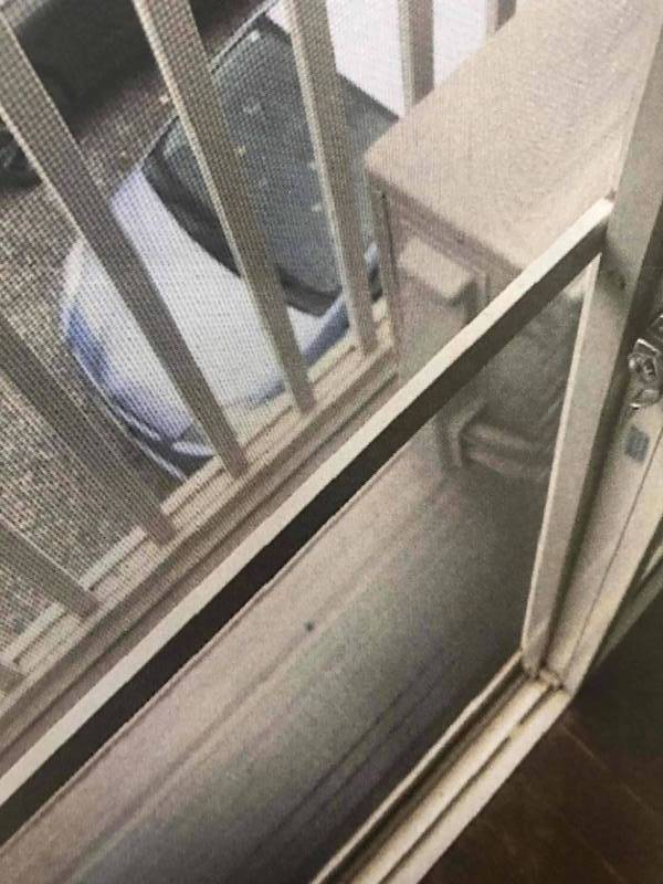 網戸も新規張替え。風通しも良し。