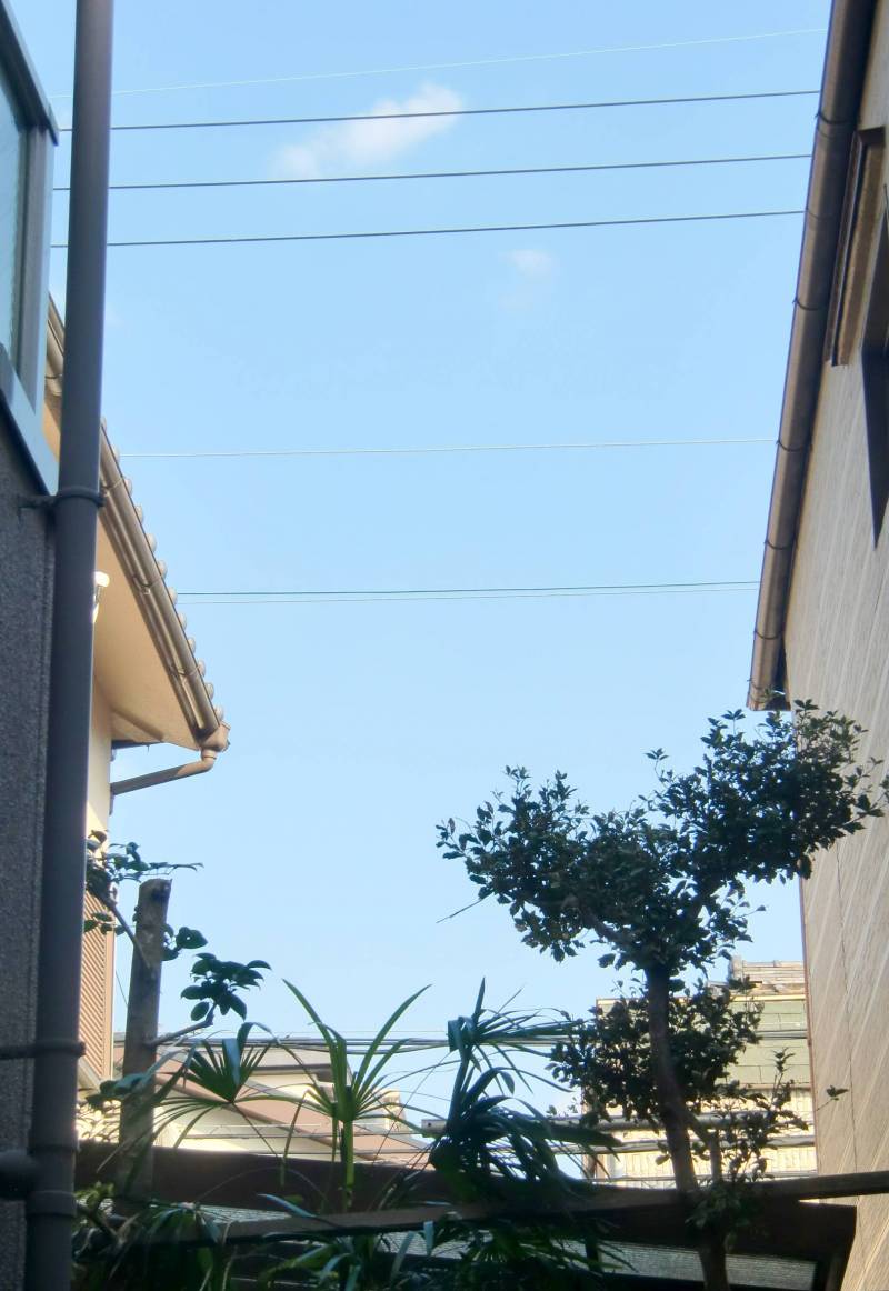 テラスの前は青空が見える

