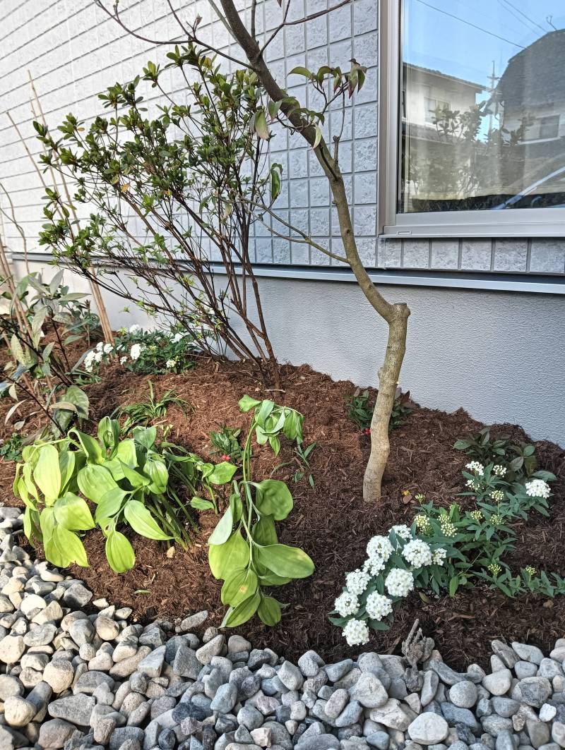 お庭　ナチュラルな雰囲気