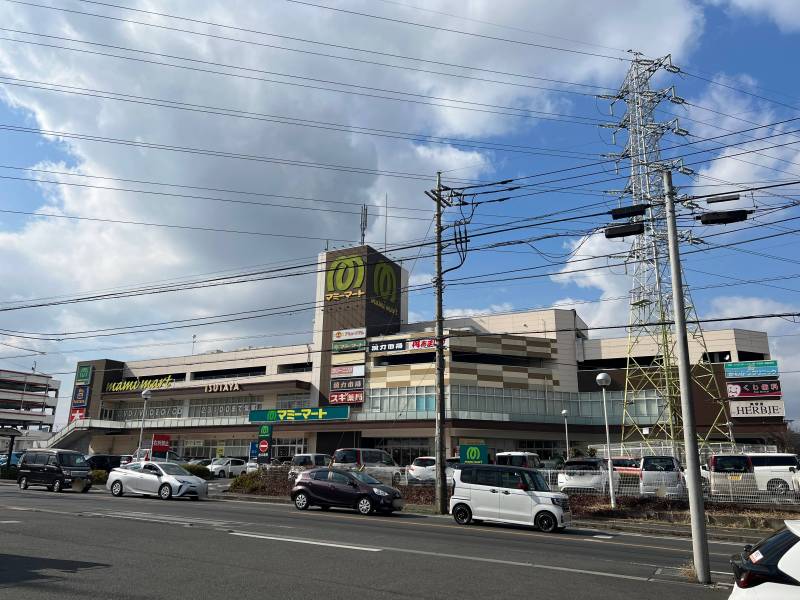 徒歩約5分 大型スーパー（マミーマート所沢山口店さん）
