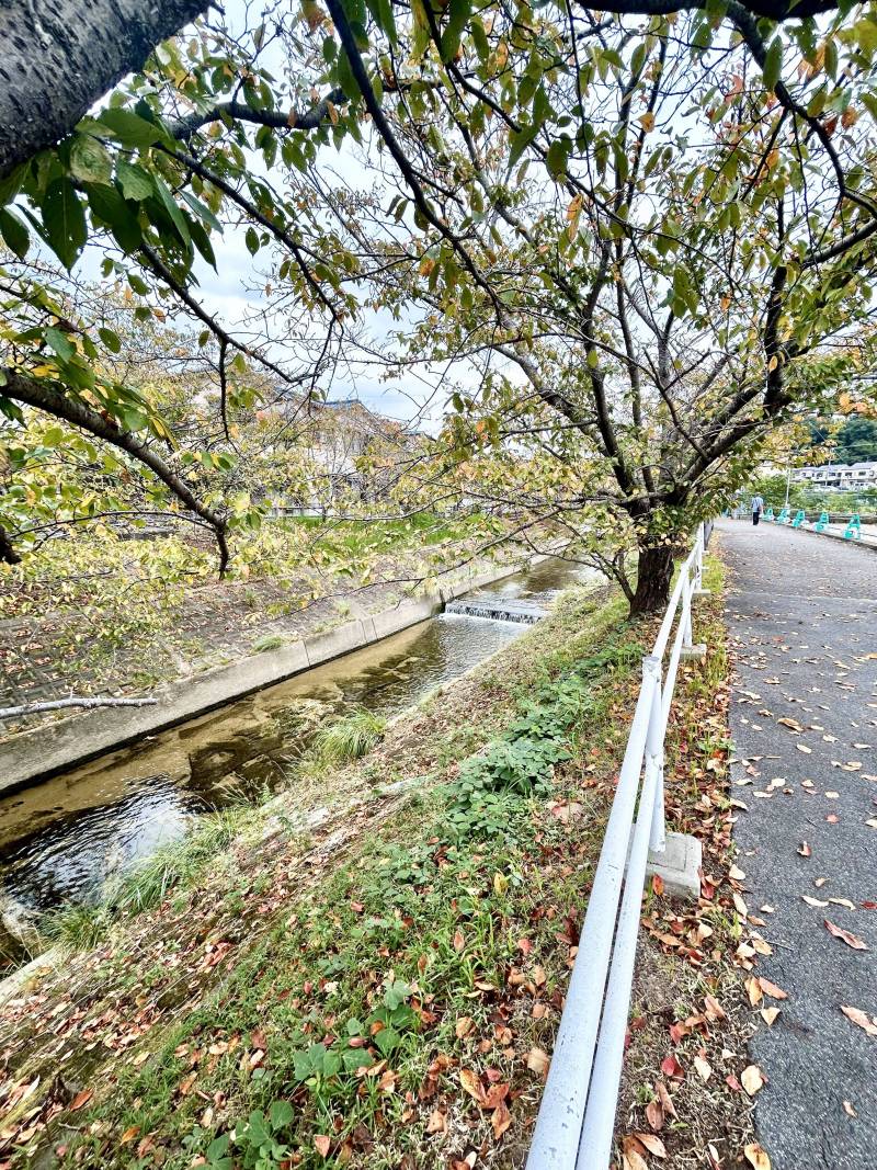 竜田川沿いに遊歩道があり、お散歩に最適