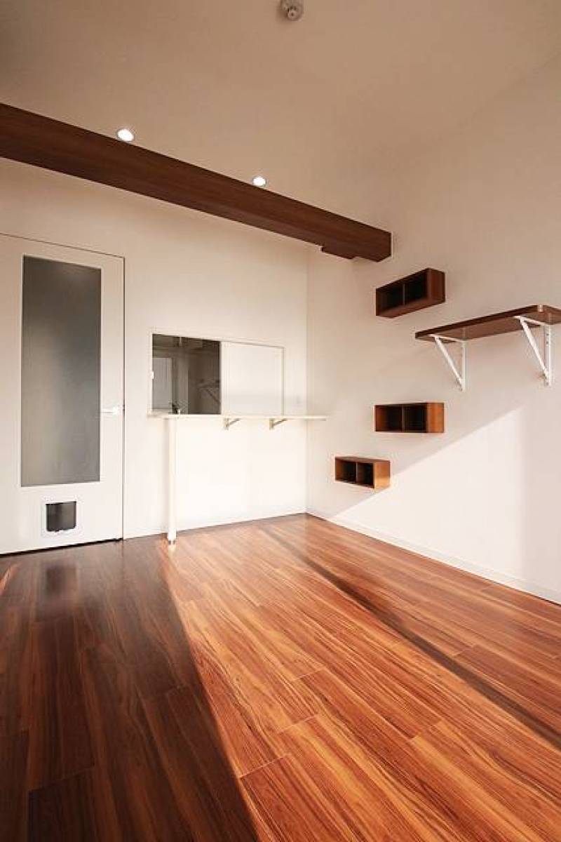 お部屋には猫ちゃん用ドア、登り棚、キャットウォークを完備。