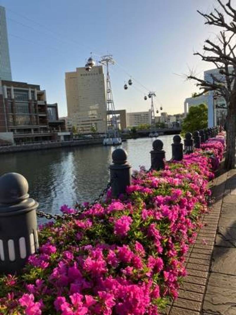 桜木町駅からワールドポーターズへと続く汽車道