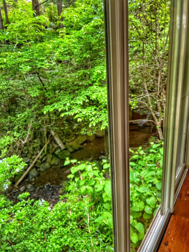 リビングから見える新緑とせせらぎ（※）