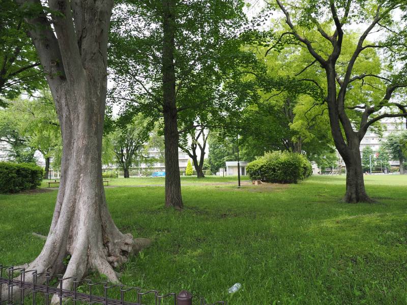 バス停のある遺跡公園は長閑な自然が感じられます。