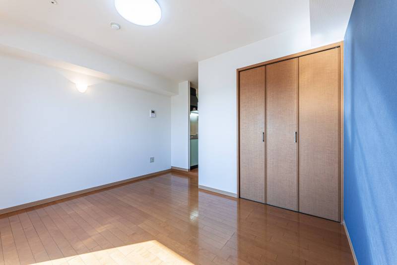 広めのクローゼット付いています