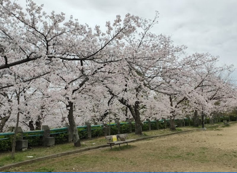 緑豊かな会下山公園も徒歩5分です。