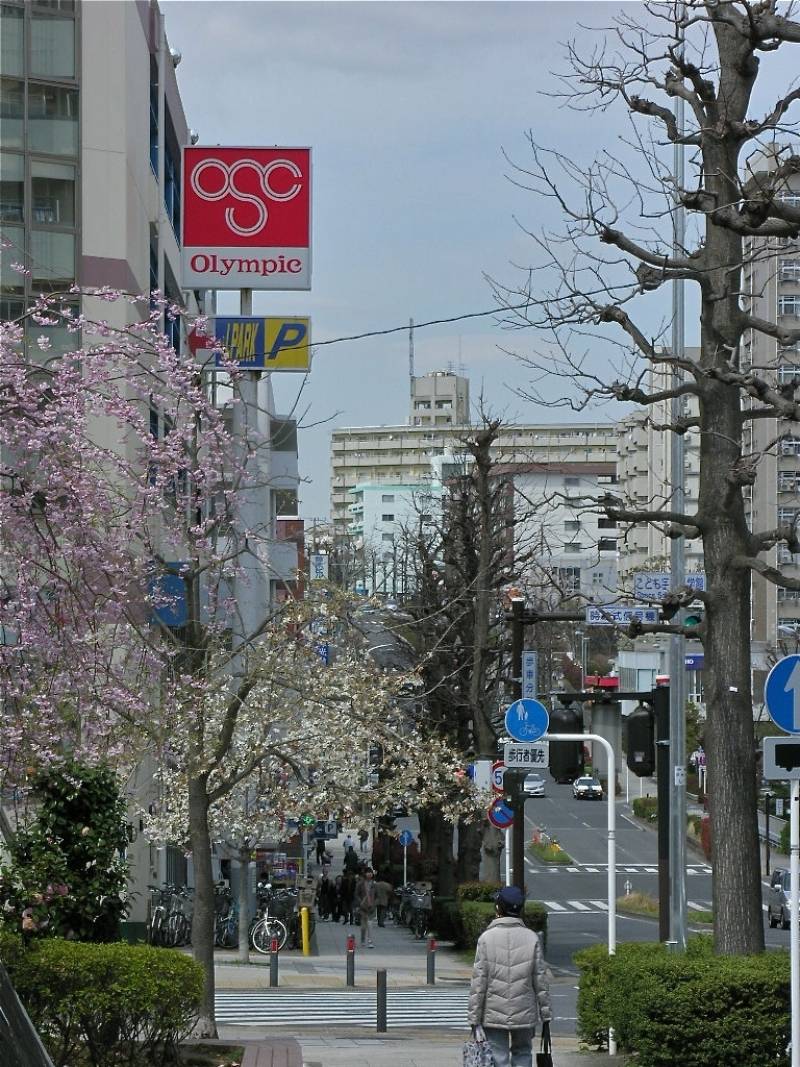 オリンピック、東急ストアなど！