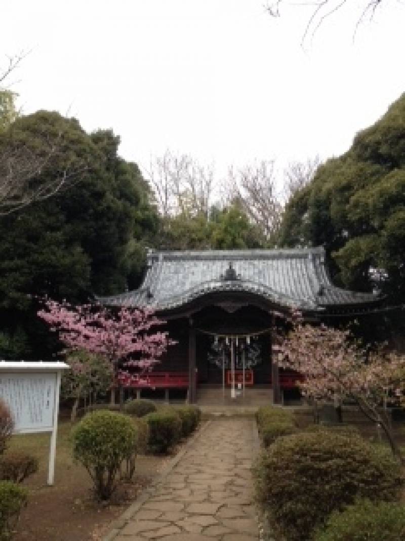 裏山にある吾妻神社。パワースポットです。