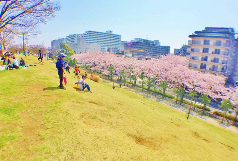すぐ前の「富士公園」は江戸富士、お花見、BQ、園内トレイン等