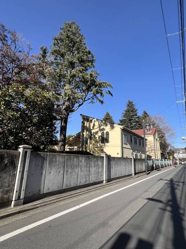 最寄り駅三鷹台までの道のり。立教通り