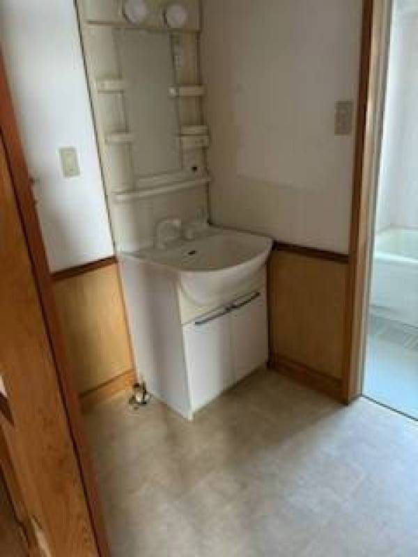 シャワー付き独立洗面台。十分なスペースのある洗面所です。