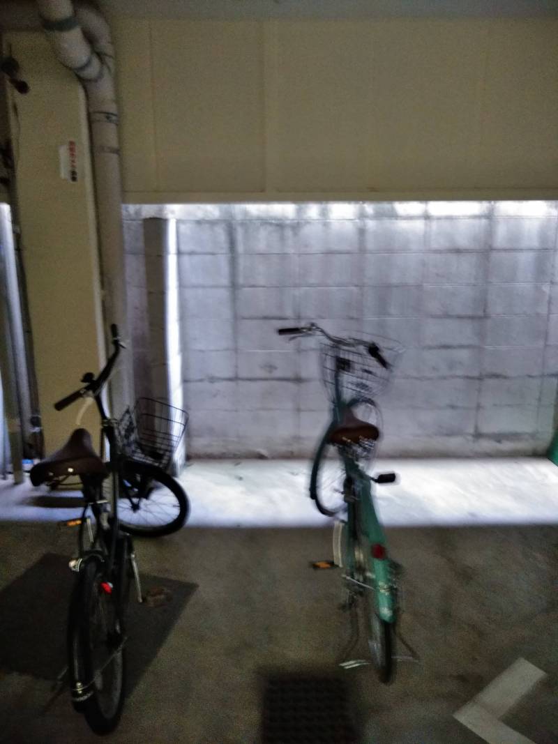 自転車置き場