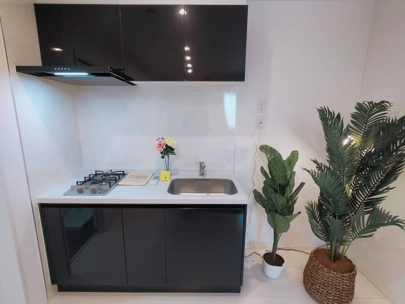 キッチンです。植物があるところが冷蔵庫置きになります