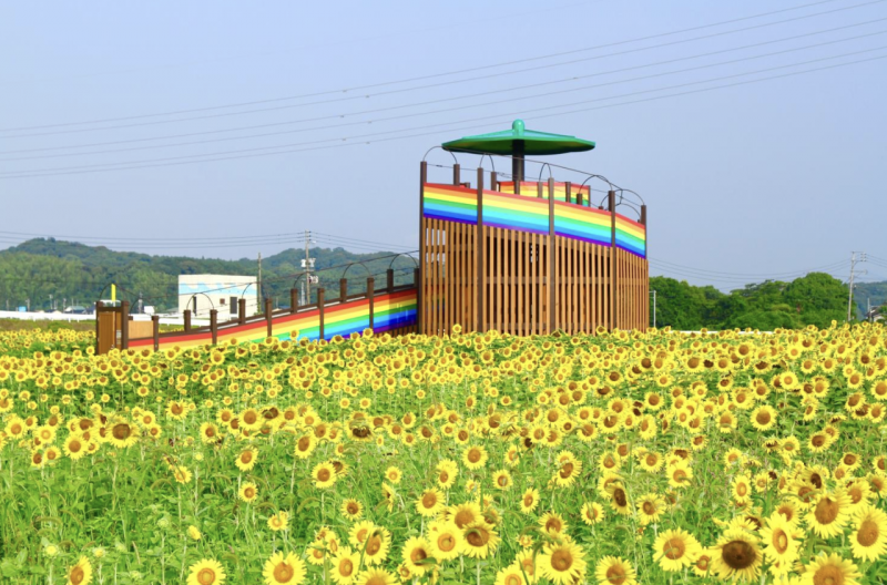 花が咲き乱れる町にふさわしい「おおとう花公園」