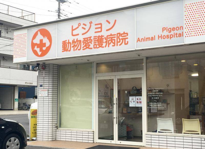 ピジョン動物愛護病院まで徒歩４分